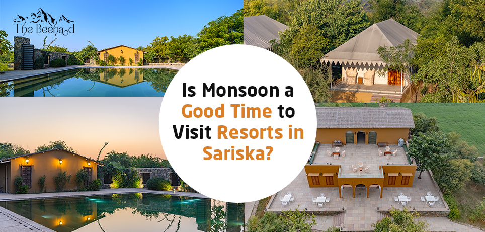 Is Monsoon a Good Time to Visit Resorts in Sariska